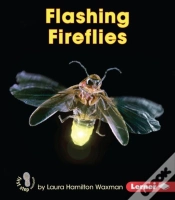 Capa do artigo Flashing Fireflies
