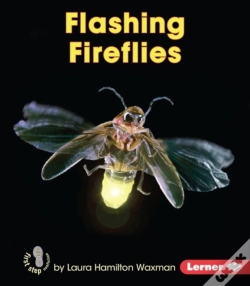 Capa do artigo Flashing Fireflies