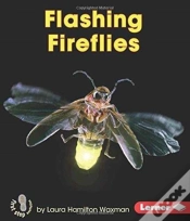 Capa do artigo Flashing Fireflies
