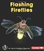 Flashing Fireflies - Preview