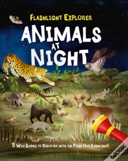 Capa do artigo Flashlight Explorer: Animals At Night
