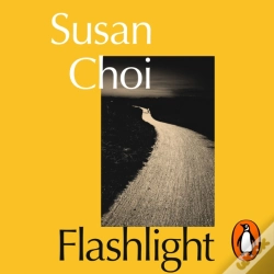 Capa do artigo Flashlight