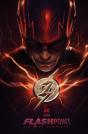 Flashpoint La Saga Completa - Preview
