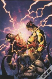 Capa do artigo Flashpoint T.3