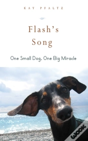 Capa do artigo Flash