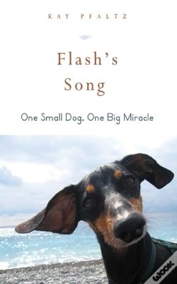 Capa do artigo Flash'S Song