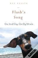 Flash'S Song