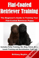 Flat-Coated Retriever Training