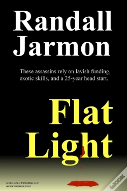 Capa do artigo Flat Light