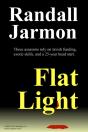Flat Light - Preview
