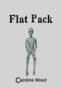 Flat Pack - Preview