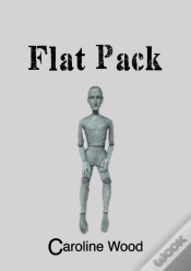 Capa do artigo Flat Pack