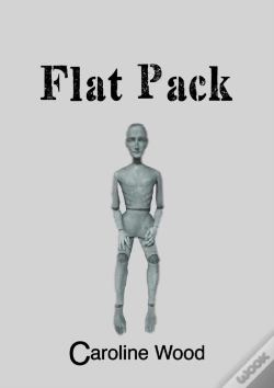 Capa do artigo Flat Pack