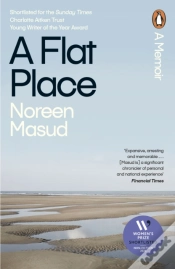 Capa do artigo Flat Place
