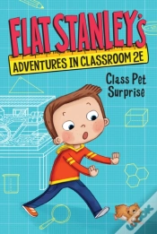 Capa do artigo Flat Stanley