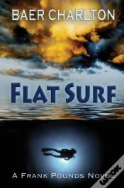 Capa do artigo Flat Surf