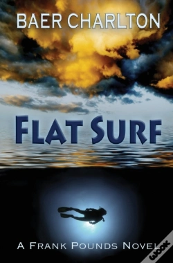 Capa do artigo Flat Surf