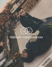 Capa do artigo Flatbush Misdemeanors