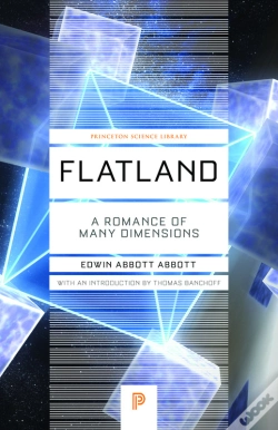 Capa do artigo Flatland