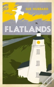 Capa do artigo Flatlands