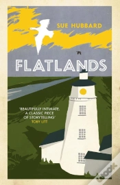 Capa do artigo Flatlands