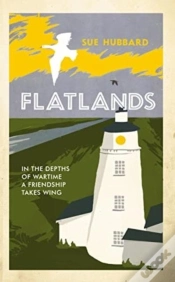 Capa do artigo Flatlands