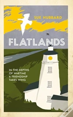 Capa do artigo Flatlands