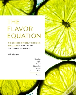 Capa do artigo Flavor Equation