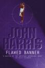 Flawed Banner - Preview