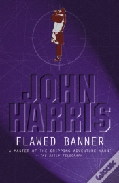 Capa do artigo Flawed Banner