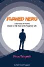 Flawed Hero - Preview