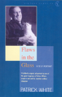 Flaws In The Glass - Preview
