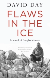 Capa do artigo Flaws In The Ice