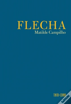 Capa do artigo Flecha