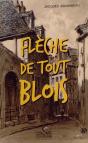 Fleche De Tout Blois - Preview