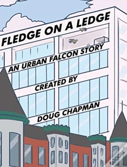 Capa do artigo Fledge On A Ledge