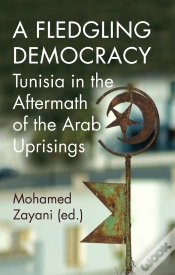 Capa do artigo Fledgling Democracy