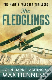 Capa do artigo Fledglings