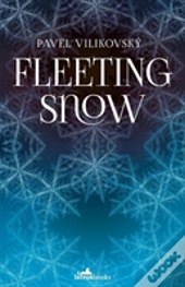 Fleeting Snow