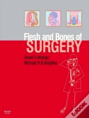 Capa do artigo Flesh And Bones Of Surgery