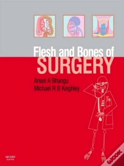 Capa do artigo Flesh And Bones Of Surgery
