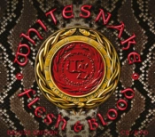 Capa do artigo Flesh & Blood - CD