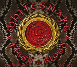 Capa do artigo Flesh & Blood - CD