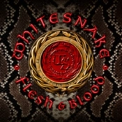 Capa do artigo Flesh & Blood - Vinil