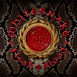 Capa do artigo Flesh & Blood - Vinil