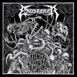 Capa do artigo Flesh Hammer Prophecy - CD