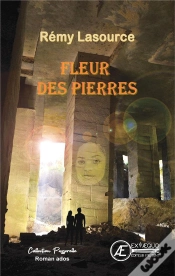 Capa do artigo Fleur Des Pierres