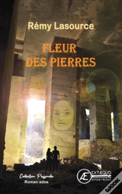 Capa do artigo Fleur Des Pierres