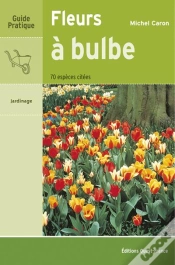 Capa do artigo Fleurs À Bulbe