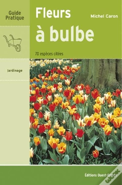 Capa do artigo Fleurs À Bulbe